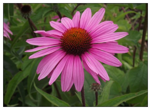 Widely considered one of the most innovative floral artists in Olds Alberta, the owner of The Lady Bug Studio, Margaurita D'Alessandro, is an accredited floral designer from Olds College.
