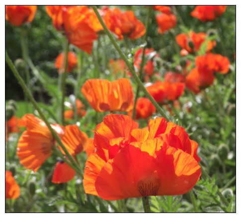 Widely considered one of the most innovative floral artists in Olds Alberta, the owner of The Lady Bug Studio, Margaurita D'Alessandro, is an accredited floral designer from Olds College.